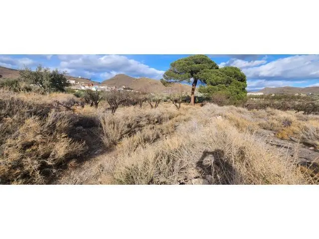 Venta Terreno Gergal Cortijo 21225m2