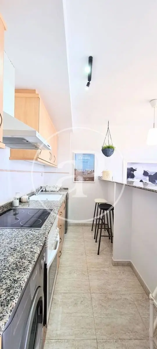 Apartamento en Alquiler Pucol Valencia 1 Dormitorio Playa