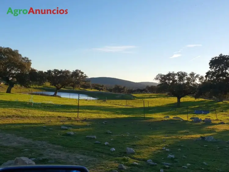 Venta  de Finca para ganaderia porcina en Cáceres