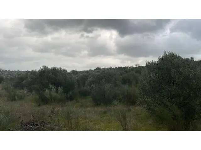 Parcela en Campo Maior: 6500m2 con Vistas