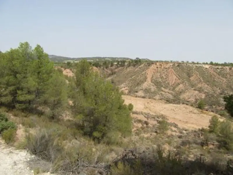 Parcelas en Venta cerca de Mula con Vistas Panorámicas