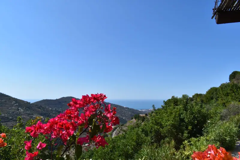 Finca/Casa Rural en alquiler en Cómpeta, Málaga