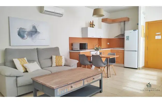 Apartamento 1 Dormitorio 40m2 Malaga Centro Historico
