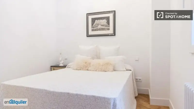 Apartamento 1 Dormitorio Palacio Madrid Amueblado Espacioso