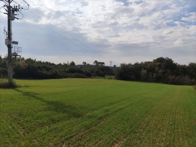Finca Rustica en Vilopriu Girona