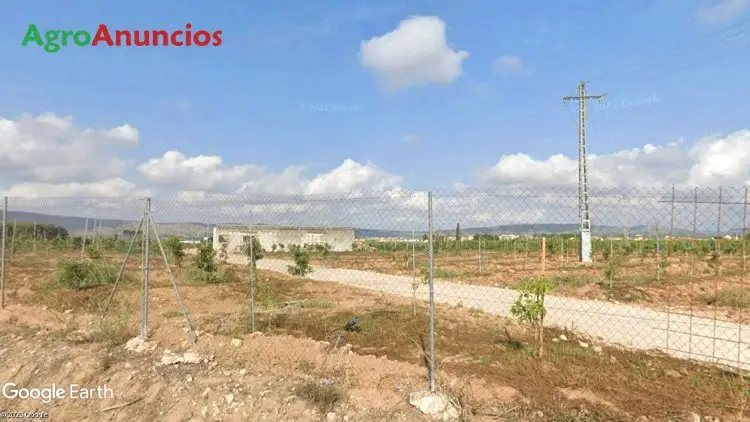 Venta  de Finca de frutales regadío en Valencia