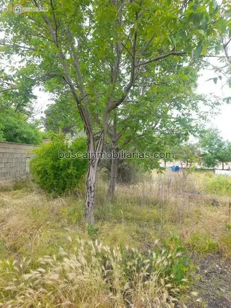 Parcela Rustica en Venta Albacete 1600m2