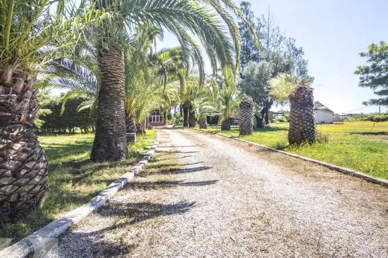 Finca Rustica Ecologica Autosuficiente en Cartaya