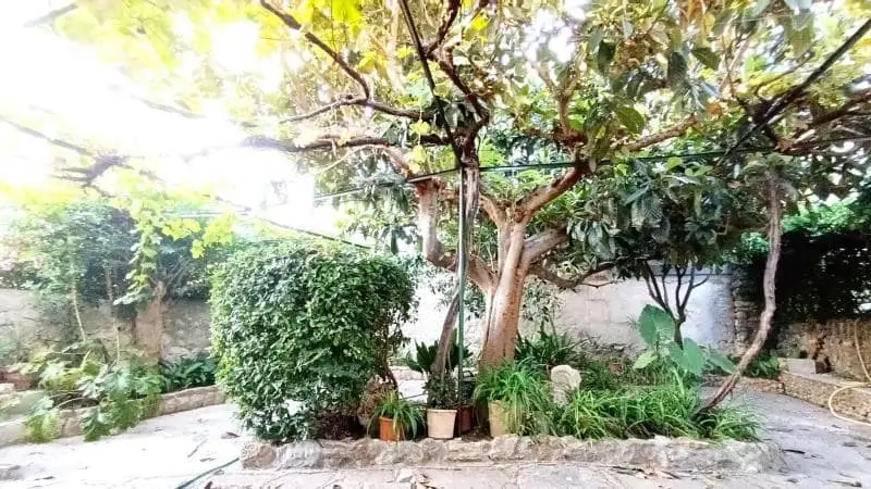 Chalet en Venta Puigpunyent Mallorca 4 Dormitorios Gran Potencial