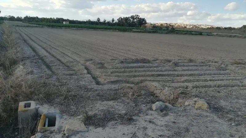 Venta Parcelas Rusticas San Fulgencio