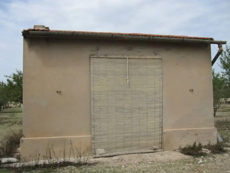 Venta Casa Campo Aspe 36m2 12000m2 Terreno Almendros Olivos