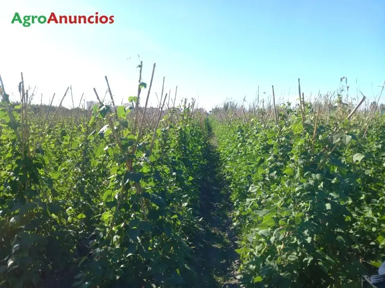 Venta  de Terreno de regadío en Granada