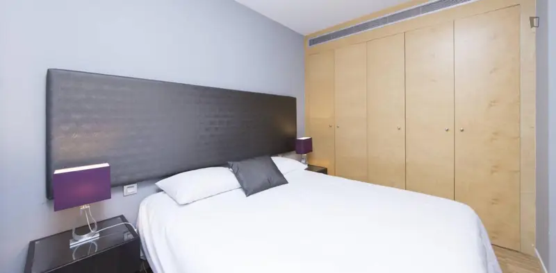 Lovely 2-bedroom apartment in Tirso de Molina