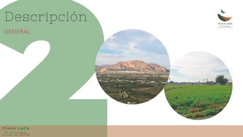 Finca Rústica con Casa para Reformar en Callosa de Segura