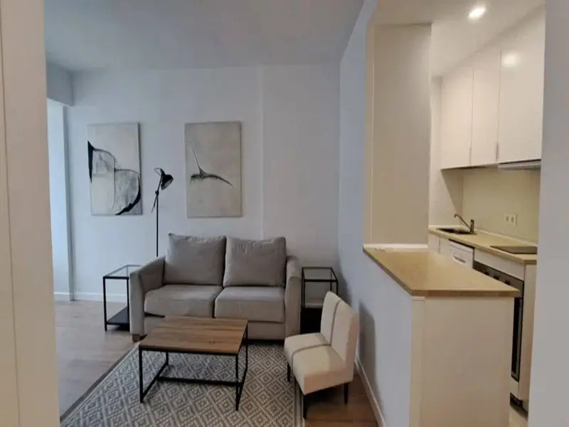 Piso Reformado 1 Dormitorio Chamberí Madrid Garaje
