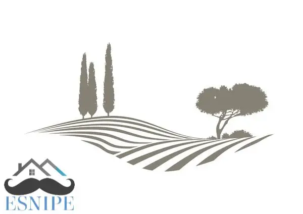 Venta Finca Rustica Ricote 9221m2 Almendros