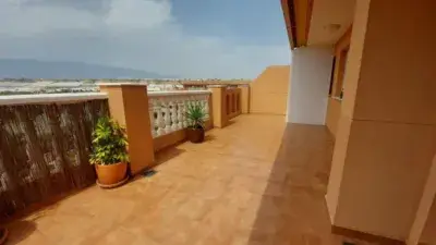 Alquiler Piso Brisas Almerimar 3 Dormitorios Jardin Piscina