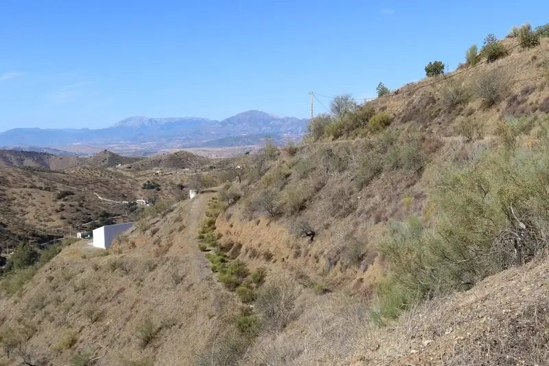 Terreno con Aguacates en Alora - Inversión Rural