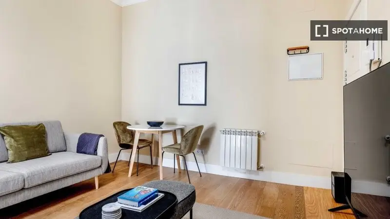 Apartamento en Madrid 1 Dormitorio 1 Baño Spotahome