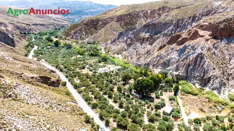 Venta  de Finca de regadío en Granada