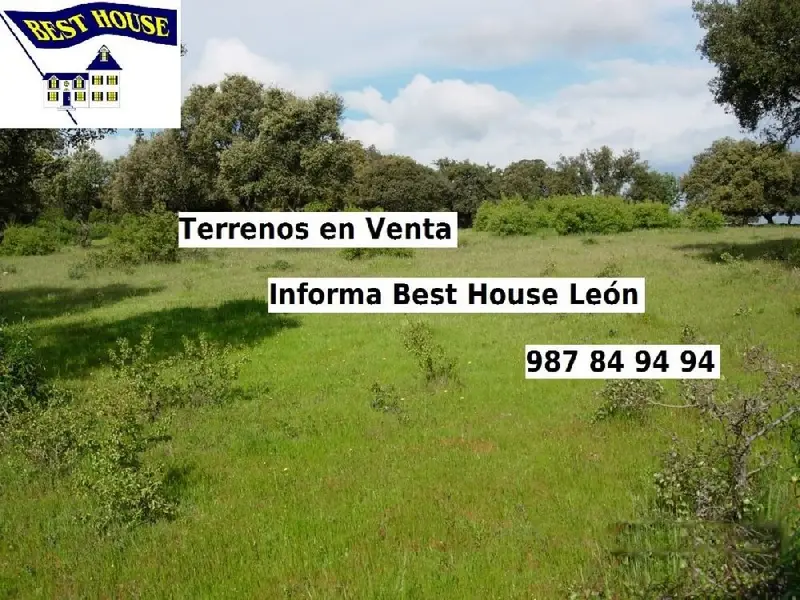 Venta Finca Rustica 4000m2 Villanueva del Arbol Villaquilambre