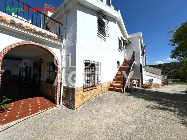 Finca de Caza con Casas en Jaén 246 Hectáreas