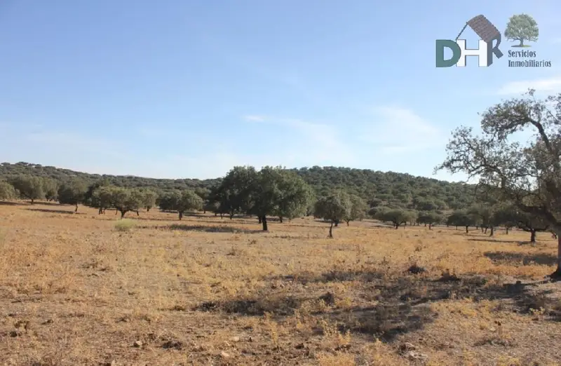 Finca Ganadera 550 Hectareas en Caceres