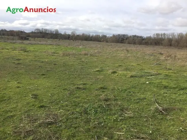 Venta  de Finca de recreo y ganadera en Valladolid