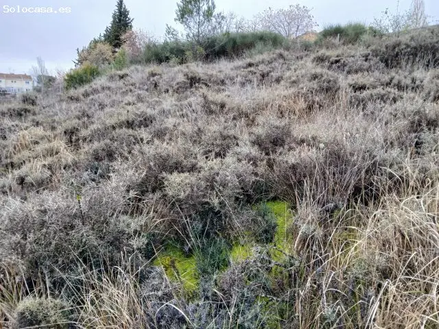Parcela Urbana en El Mirador del Cid Trijueque