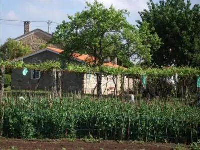 Casa Rural con Viñedos y Frutales - Finca de 5500m2