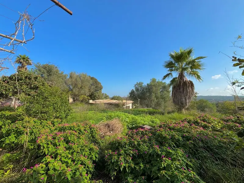 Chalet Rústico en Venta Sencelles Mallorca