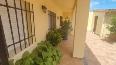 Casa en venta en Calle Cebolla