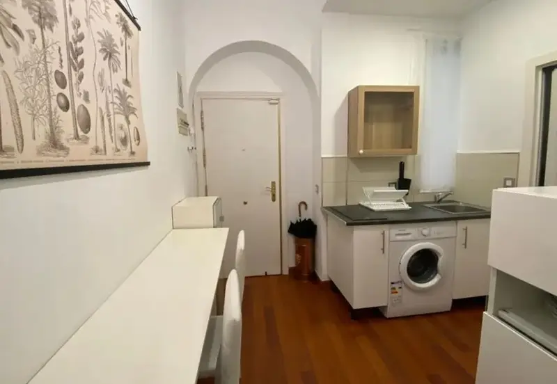 Apartamento 1 Dormitorio Madrid Alquiler