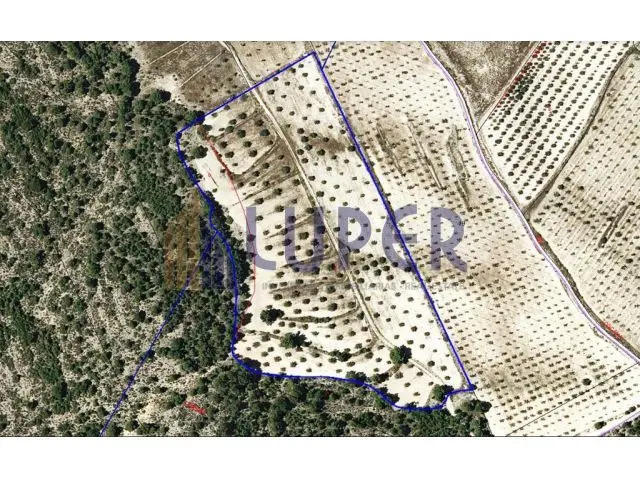 Terreno Rustico en Venta en Elda Alicante