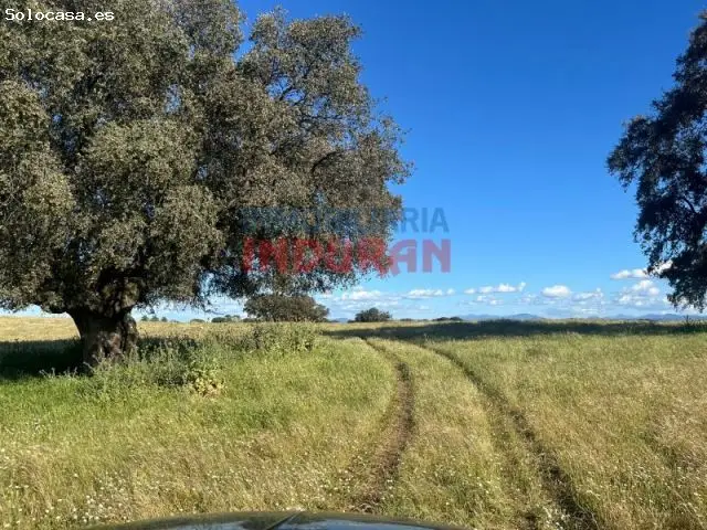 Finca Rustica Ganadera en Caceres