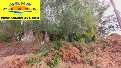 Chalet para reformar en terreno de 45000m2 en Carriazo