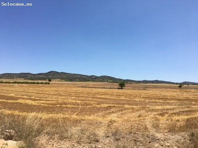 Terreno Rustico en Venta cerca de Almanza