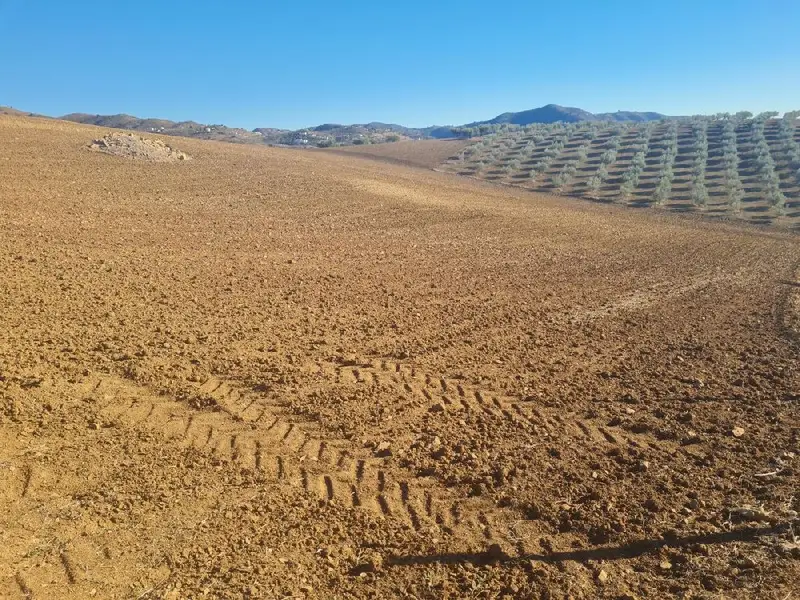 Venta Finca Buenas Vistas Almogía 5900m2
