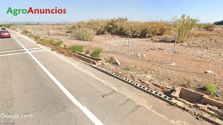 Venta  de Finca de regadío en Castellón