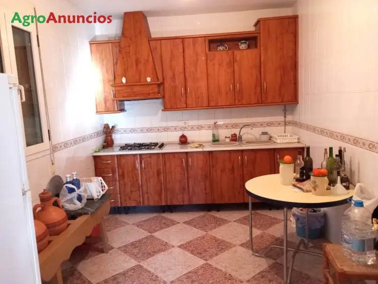 Venta  de Finca de olivos y almendros con chalet en Almería