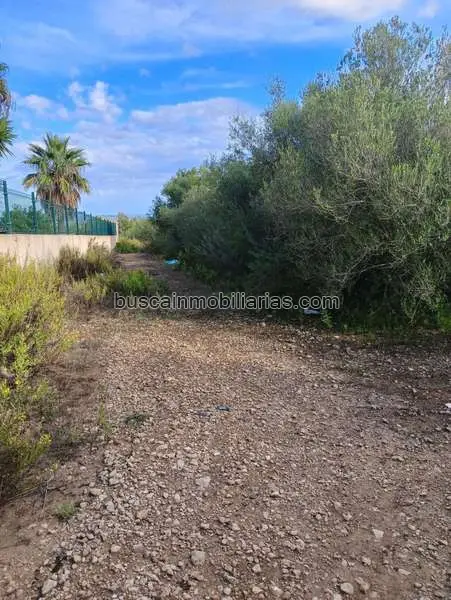 Parcela Rustica en Venta Manacor con Vistas Espectaculares