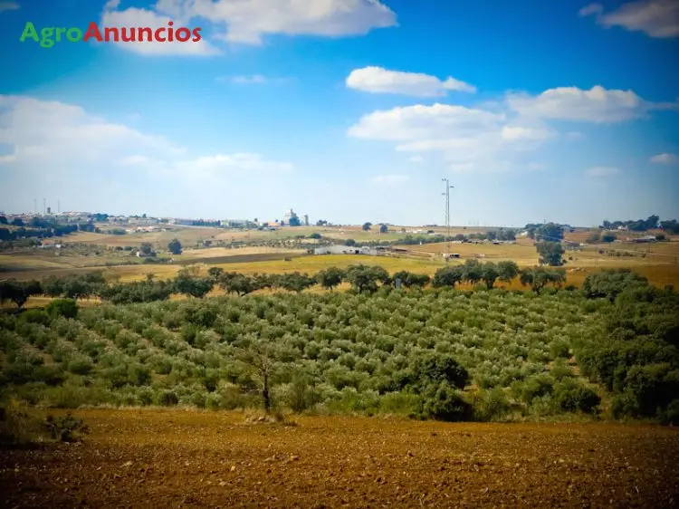 Venta  de Finca de recreo en Badajoz