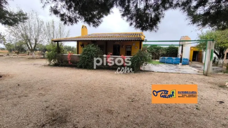 Casa de Campo en Valdepeñas con Olivos y Maquinaria