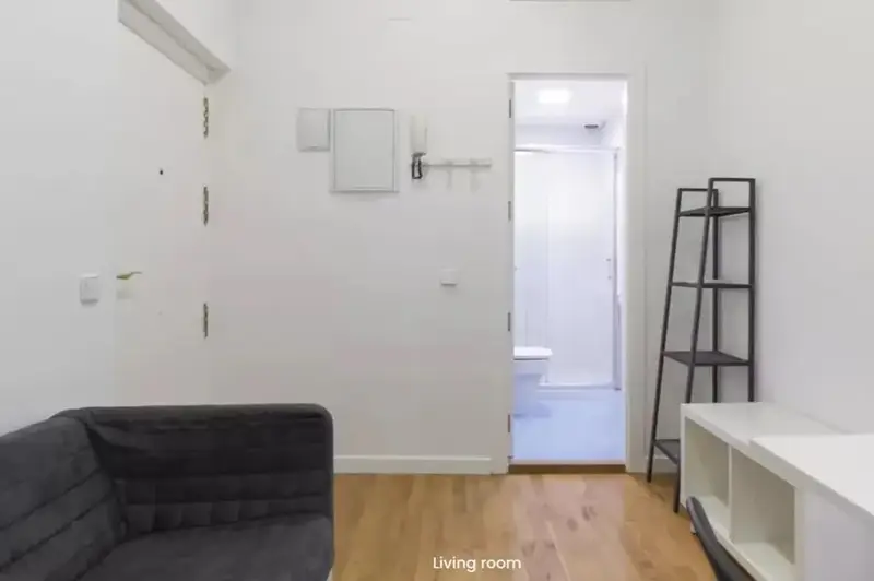 Apartamento 1 Dormitorio Madrid 28012 Alquiler