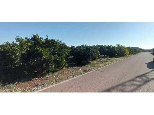 Suelo Rustico Agricola en Nules 5238m2