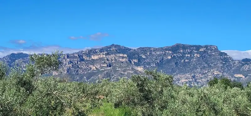 Venta Finca Reformada en Roquetes