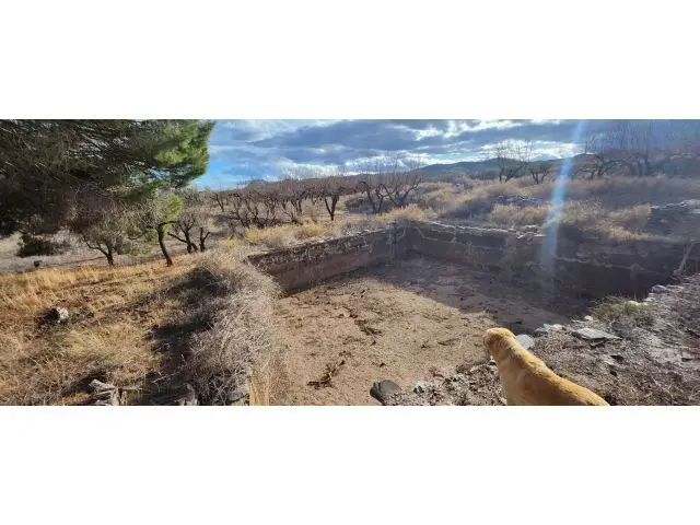 Venta Terreno Gergal Cortijo 21225m2