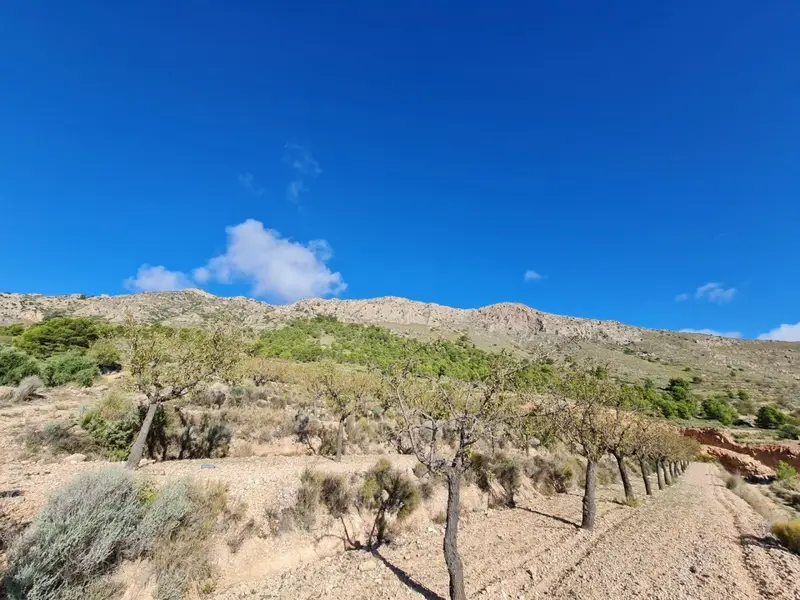 Terreno en Venta La Romana: Vistas al Mediterráneo