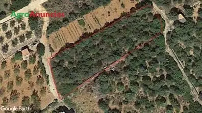 Venta  de Finca para huerta o recreo en Castellón