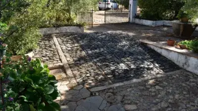 Finca Rustica en Torrecilla 7 hectareas 1200 olivos